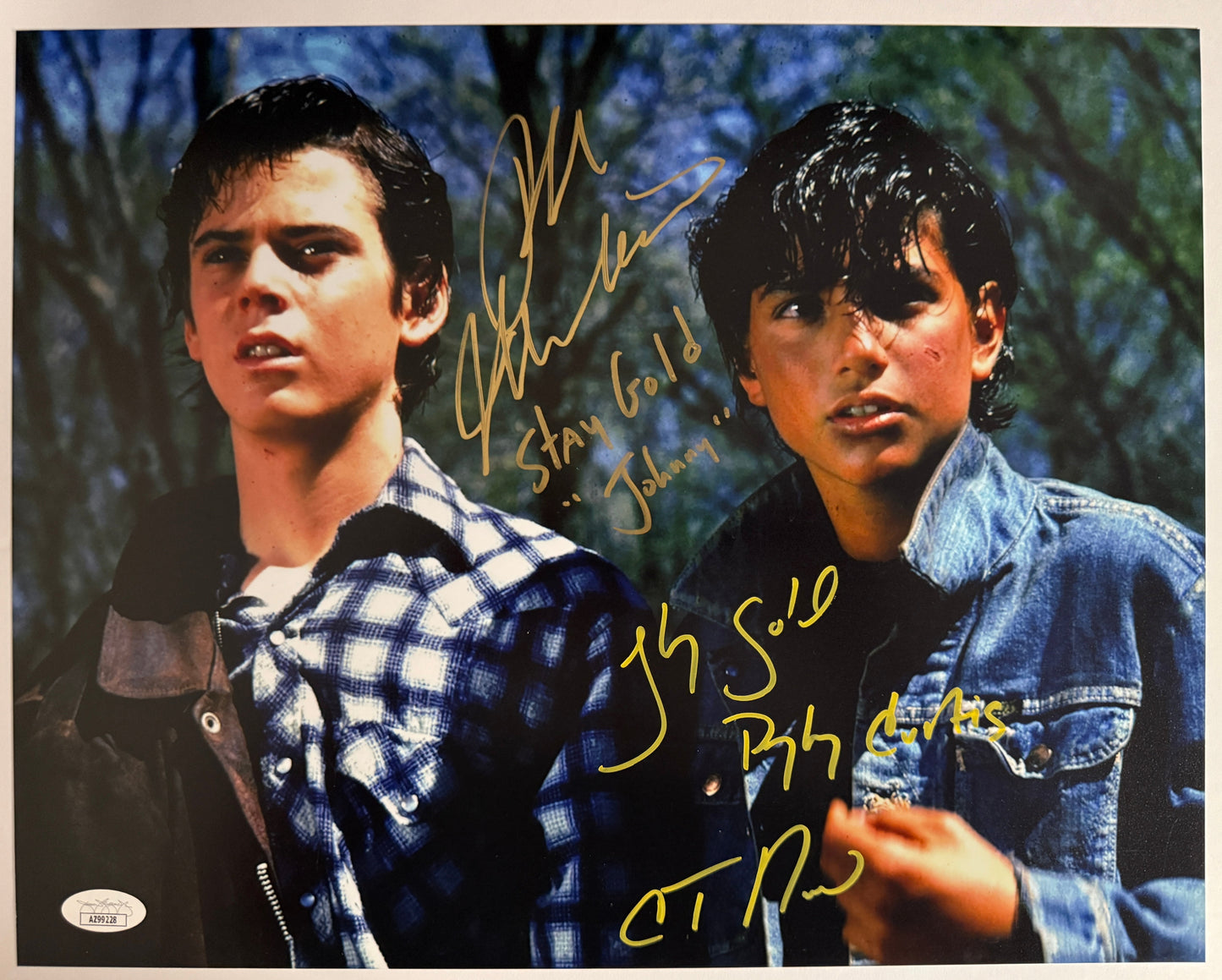 Ralph Macchio & C. Thomas Howell Signed 11x14 Photo Stay Gold The Outsiders JSA COA from Private Signing