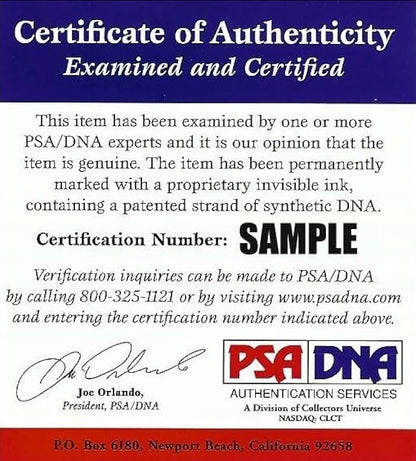 Carmen Electra Signed 8x10 Photo Pose PSA COA from Private Signing #0053