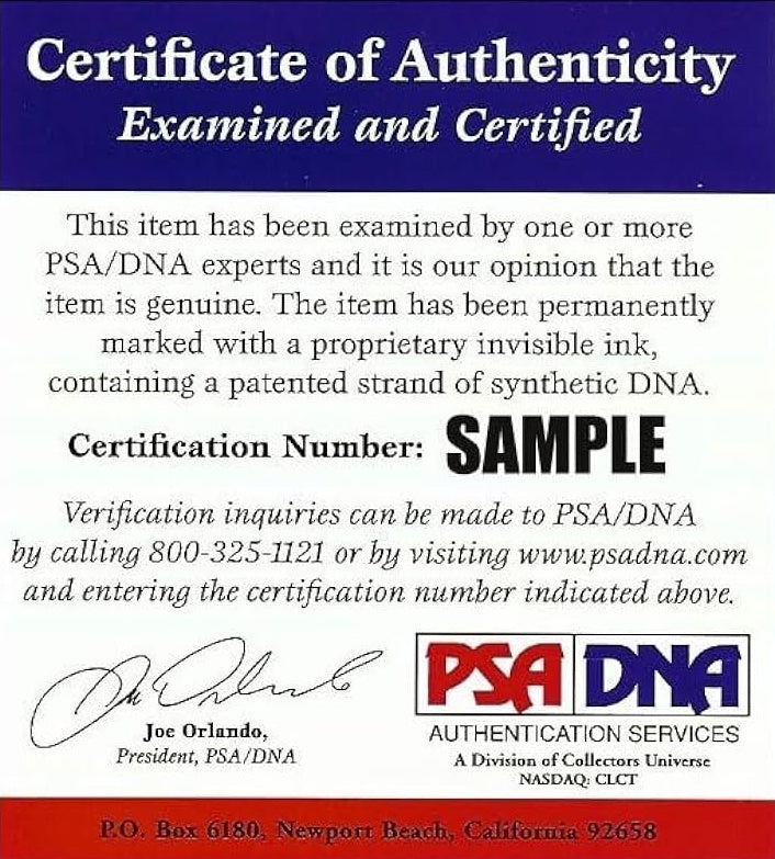 Dennise Richards Signed 8x10 Beach Photo PSA COA from Private Signing